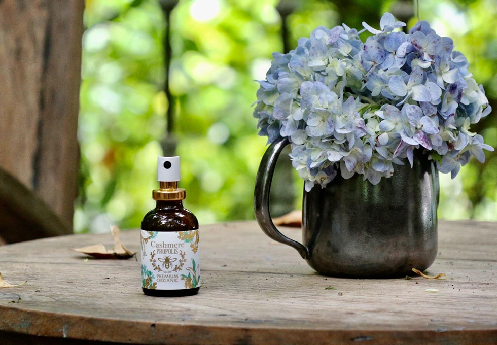 カシュミアプロポリス